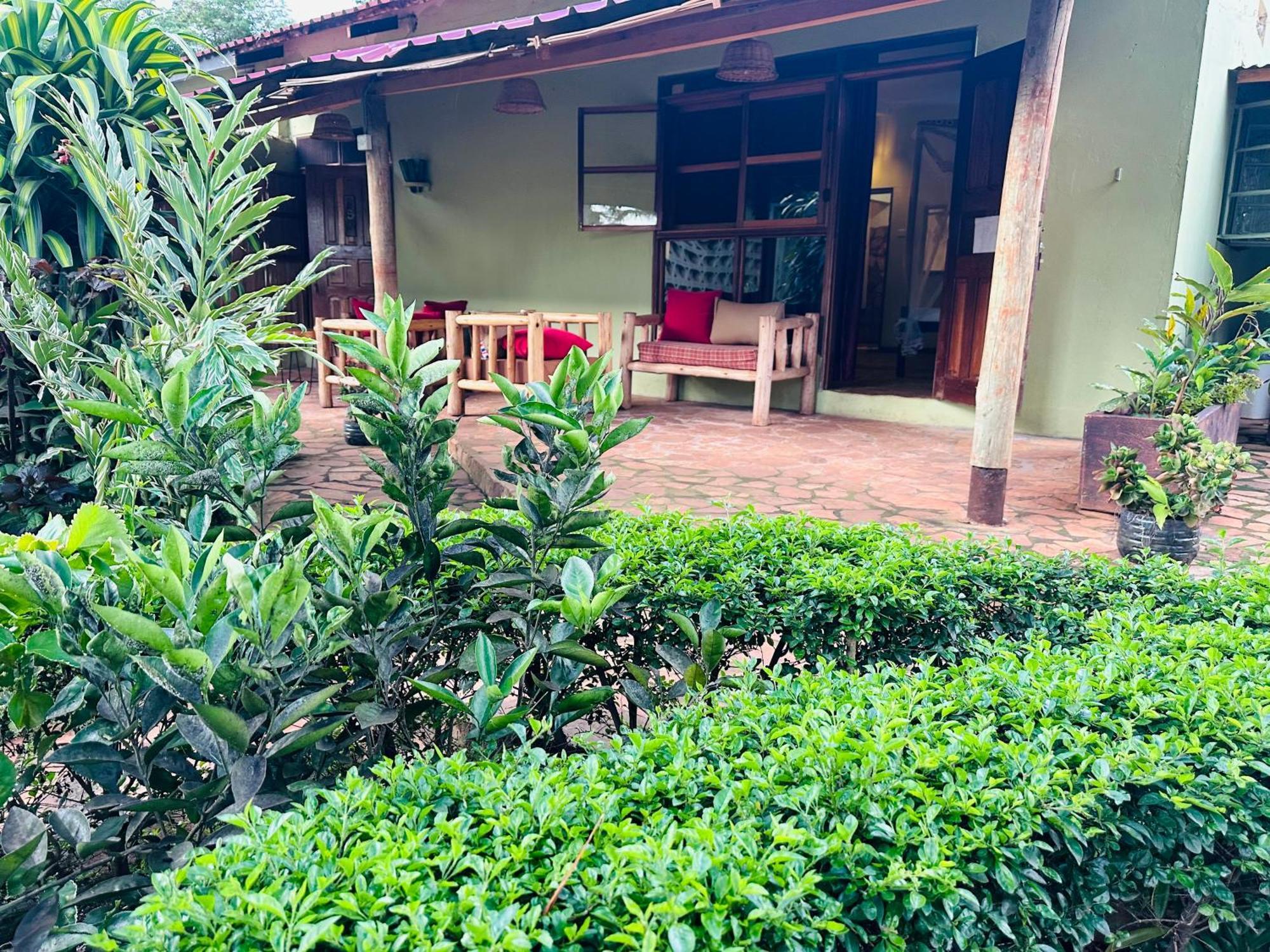 Afro Smile Hotel & Guest House Jinja Buitenkant foto